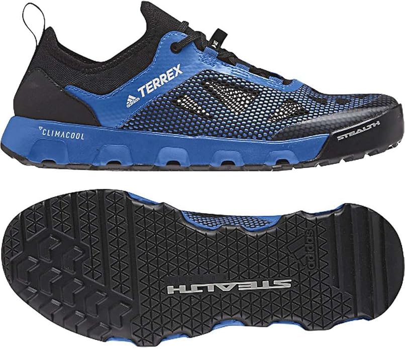 adidas outdoor men's terrex cc voyager walking shoe