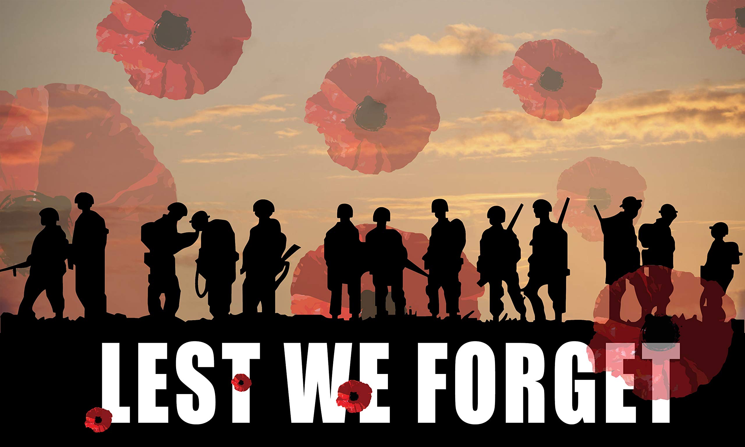 Remembrance Day Decorations Poppy Flag 5ft 3ft with Eyelets Armistice Day Lest We Forget Flag Army Soldier Memorial