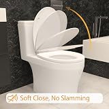 AAN Soft Close White Toilet Seat Quick Release UF Material Top Fitting Oval view 3