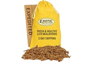 Exotic Nutrition Large Live Mealworms (3/4") (1000 Pack)