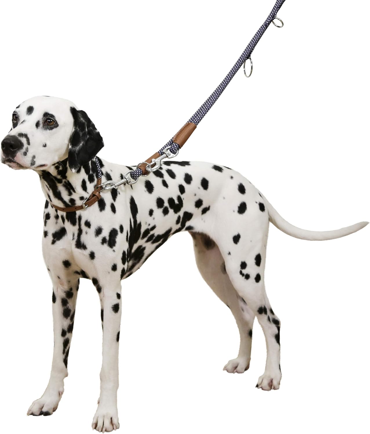 Maxi Pet Phoenix 80218 Lead 9 mm x 100 cm Blue, Leine Phoenix - Image 3