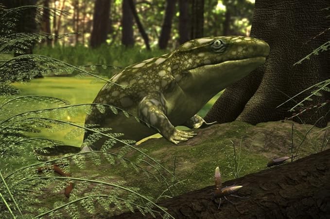 Devonian period fish image