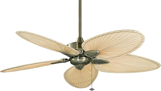 Fanimation Windpointe 22 Inch Antique Brass With Natural Palm