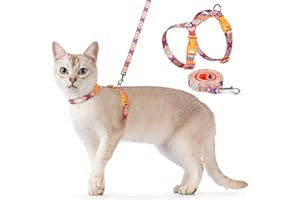 Dooradar Cat Harness and Leash, Escape Proof Adjustable Kitten Vest, Lightweight Soft Pet Straps, Easy Wearing for Small Medium Kitty Safe Walking Travel Control, Orange & Blue, M