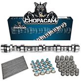 Stage 2 Cam Kit with .560 Lift Beehive Springs Seals Pushrods for LS Truck | Camshaft Kit for LS 4.8 5.3 6.0 6.2 Vortec 1999-2013