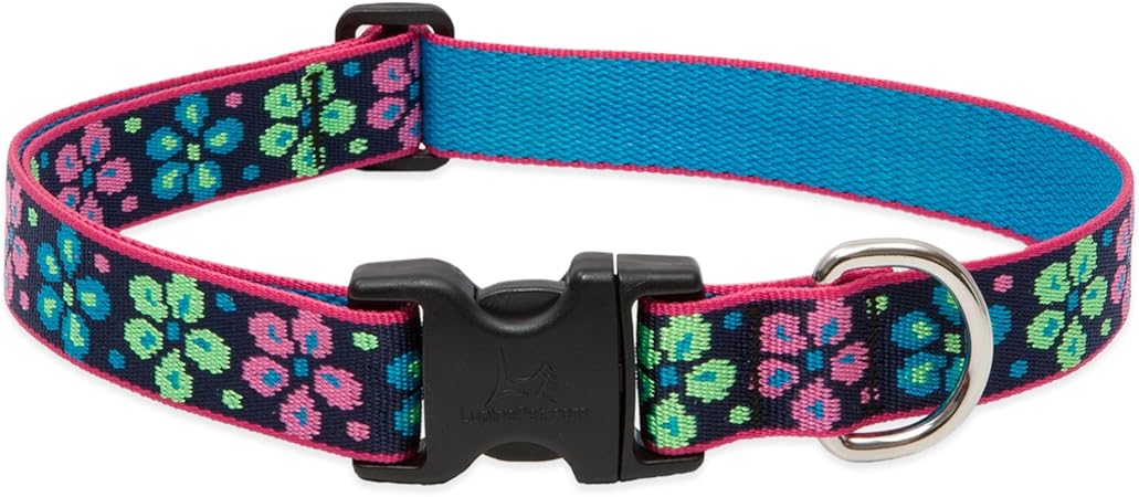 vca animal hospital prices