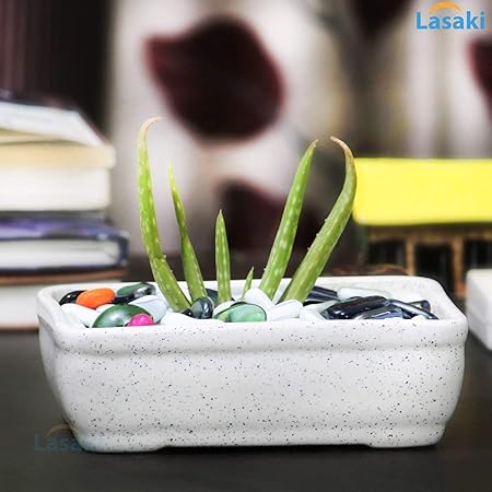 Lasaki Rectangle Ceramic Pots for Indoor Plants,Planters,Flower pots,gamla for Indoor,Outdoor,Balcony,Home,Garden,Office Decor,Succulent Pot (Color:White)(L:18.5 cm, W:11.5 cm, H:6 cm) rec003