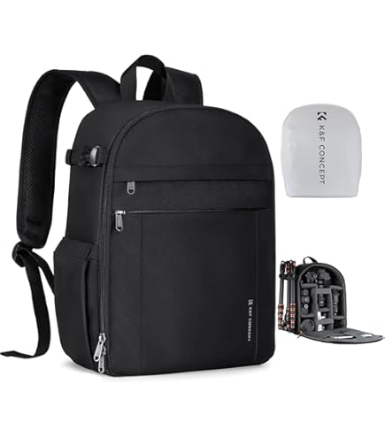 Amazon.com : Manfrotto MB PL-B-220 Backpack (Black) : Electronics