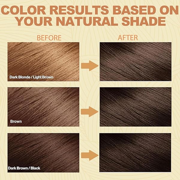HERBAL INSTANT 3-IN-1 LONG-LASTING BROWN HAIR COLOR SHAMPOO FOR GRAY HAIR COVER FOR WOMEN & MEN – 16.90 FL OZ (DARK BROWN)