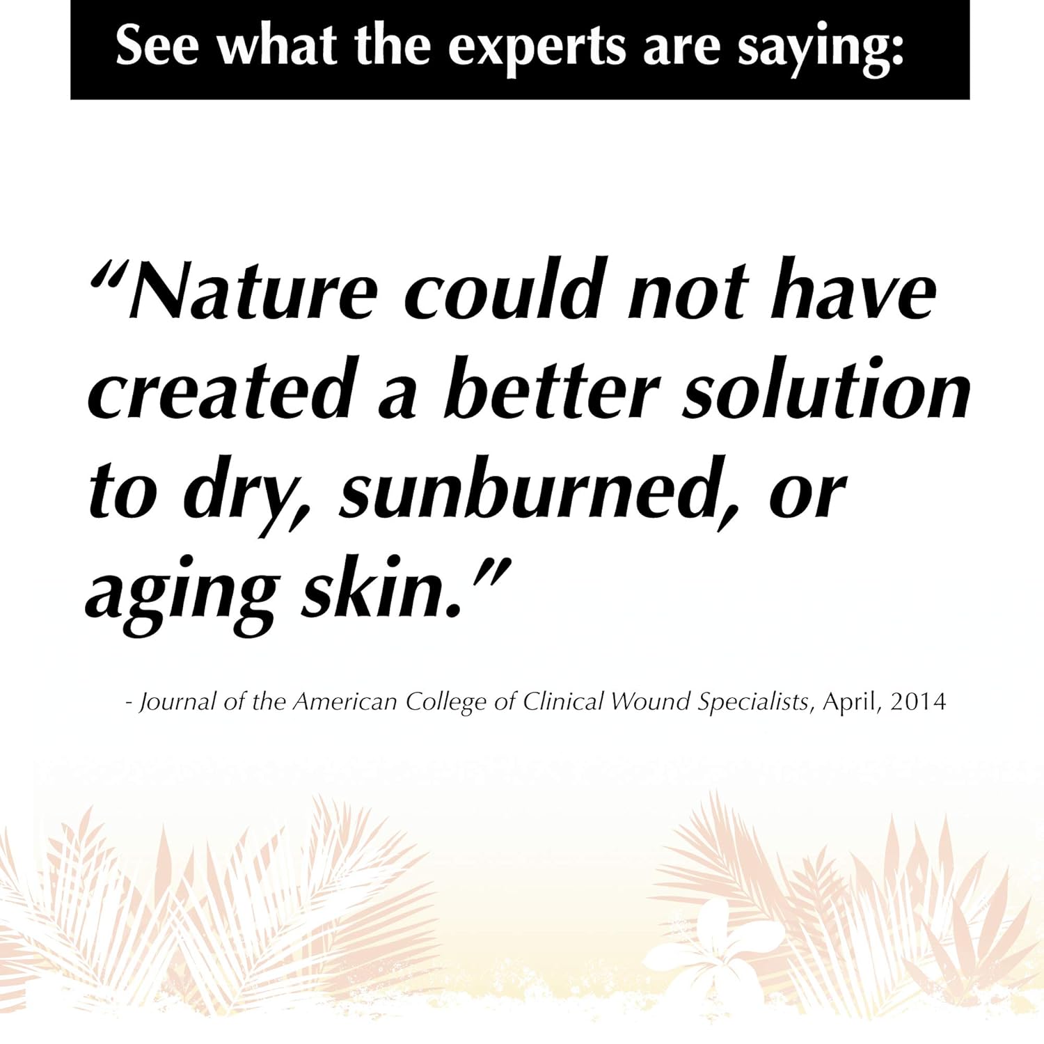 BoaVida After Sun Lotion Nutrient Cream and Tan Enhancer, To Help Moisturize and Soothe, Dry, Sun Burned, Itchy, Peeling, and Red Skin, Use To Cool Down Skin, 16 Ounce by Central Solutions Inc. : Beauty
