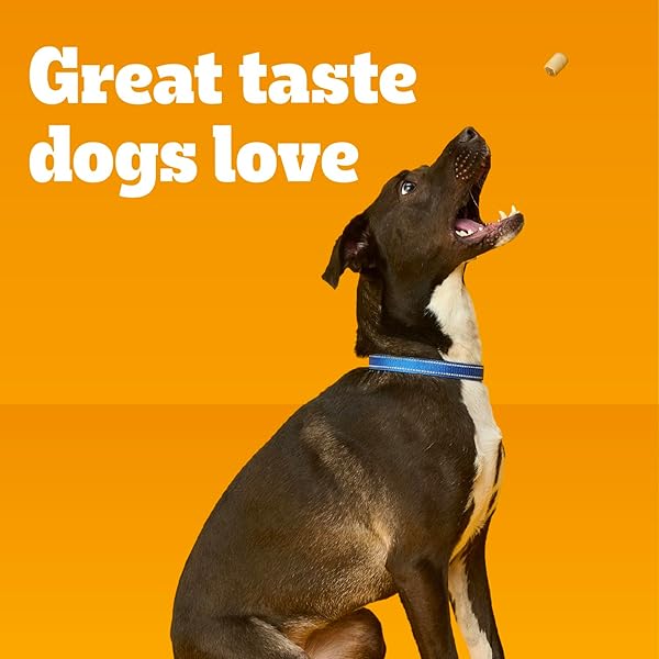 PEDIGREE DRY DOG TREATS MARROBONE, REAL BEEF FLAVOR, 6 LB. BAG (PACK OF 1)
