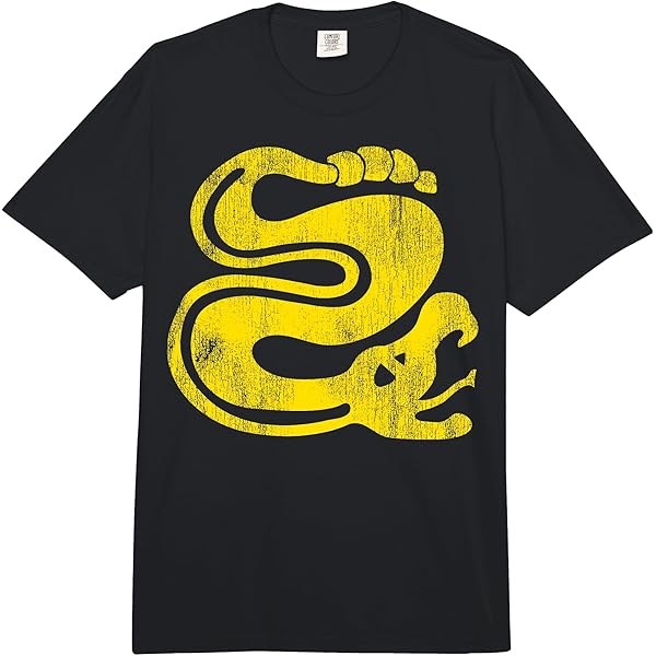 Amazon.com: Legends Of The Hidden Temple Silver Snakes T-Shirt