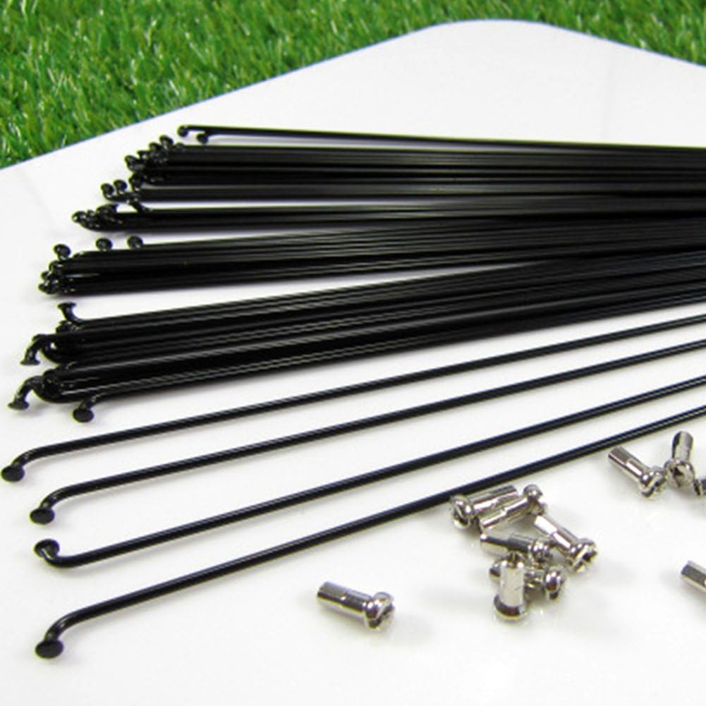 10 pcs Steel Bicycle Spokes w/ 12 mm Copper Cap, 170mm or