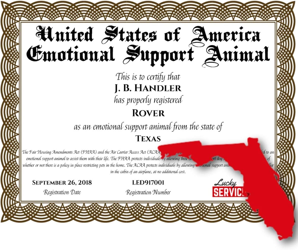 acaa emotional support animal