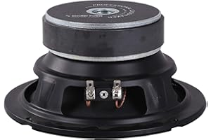 Sound Town 6" RAW WOOFER Speaker, 80 WATTS PRO Audio PA DJ Replacement SUBWOOFER Low Frequency Driver (STLF-630)