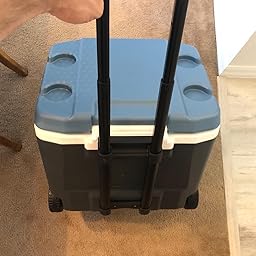 igloo maxcold quantum 52 review