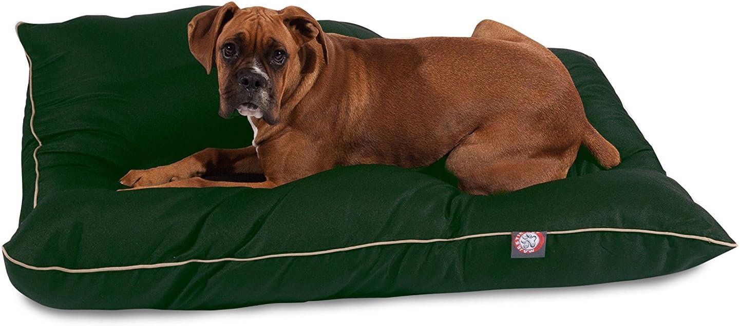 35x46 Green Super Value Pet Dog Bed By Majestic Pet Products Large : Pet Supplies