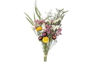 Dry Flower Bouquet with Real Rose Cotton Eucalyptus Nordic Style Small Home Decoration Ornaments for Living Room High Grade