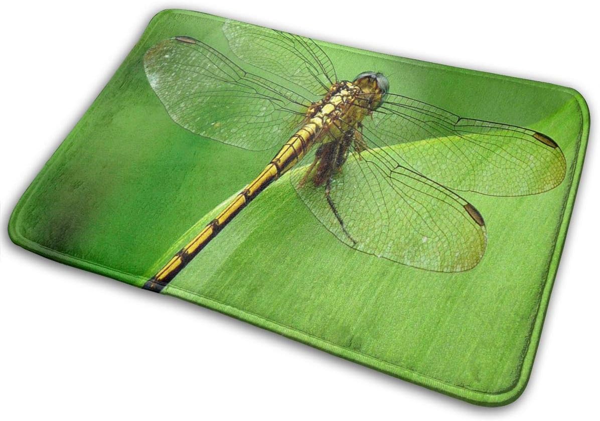 FunnyCustom Doormat Dragonfly Wallpaper Unique Non Slip Water Absorption Bath Mat for Home