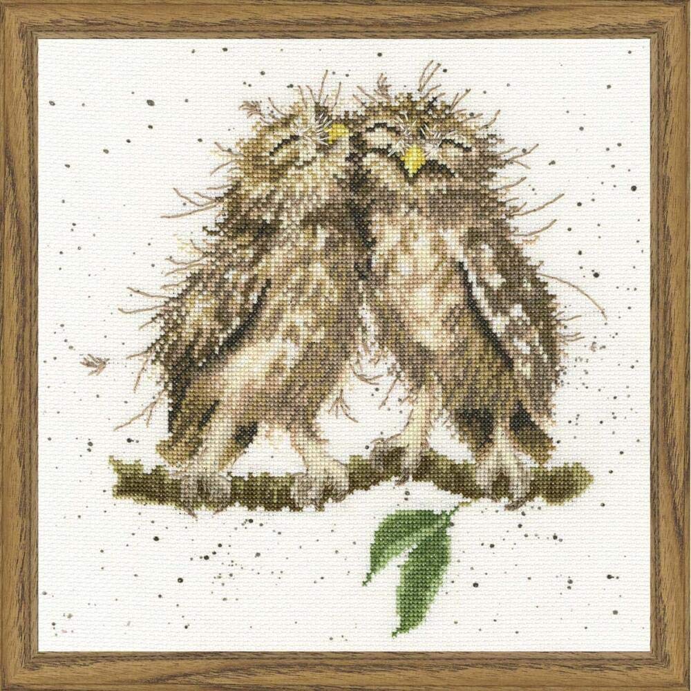 Bothy Threads Cross Stitch Kit - Wrendale Designs - Birds of A Feather