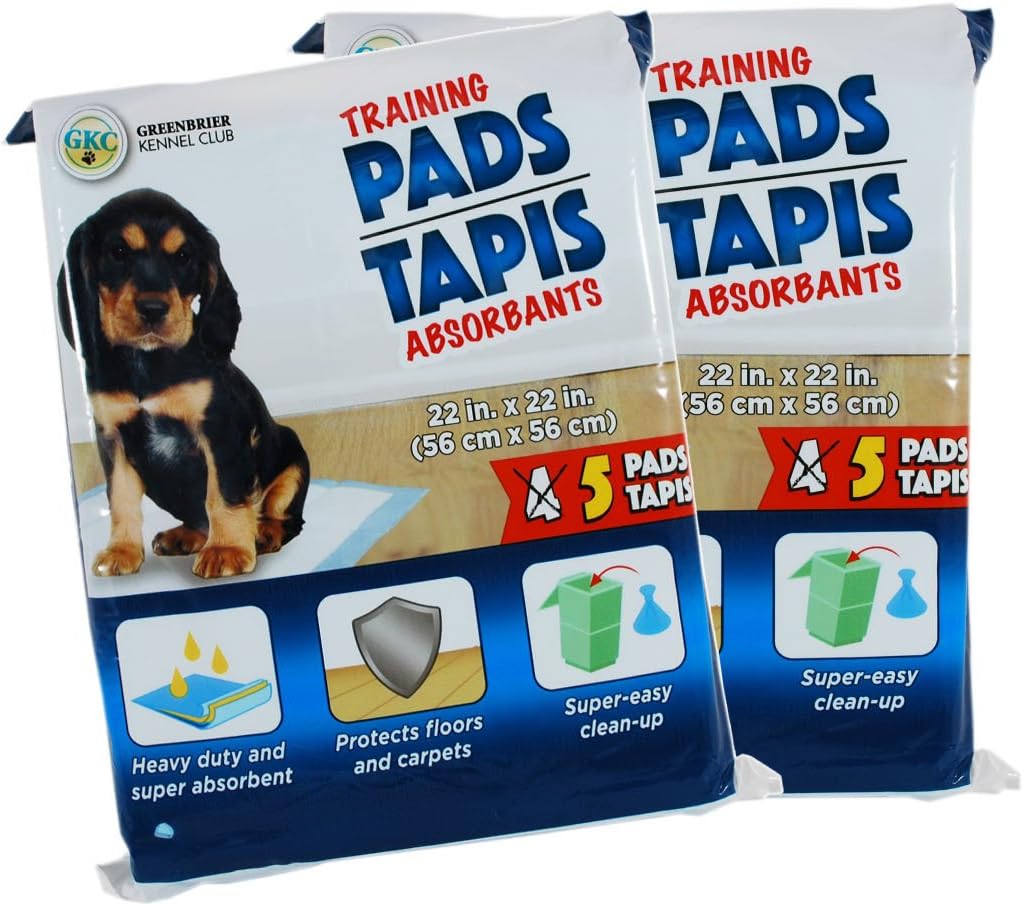 kitten training pads