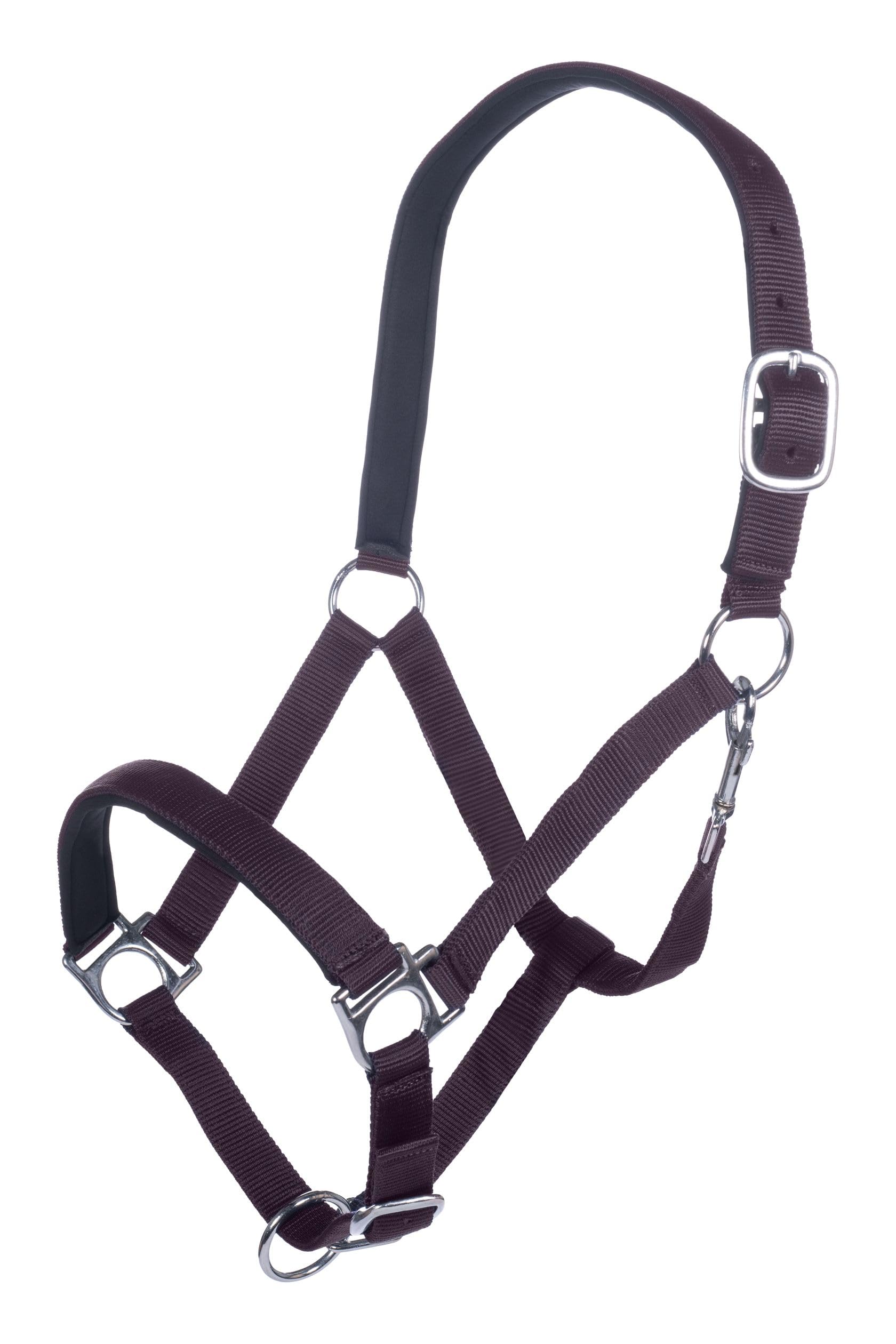 HKM Halter-6613 Halter 3300 Dark Purple Warmblood