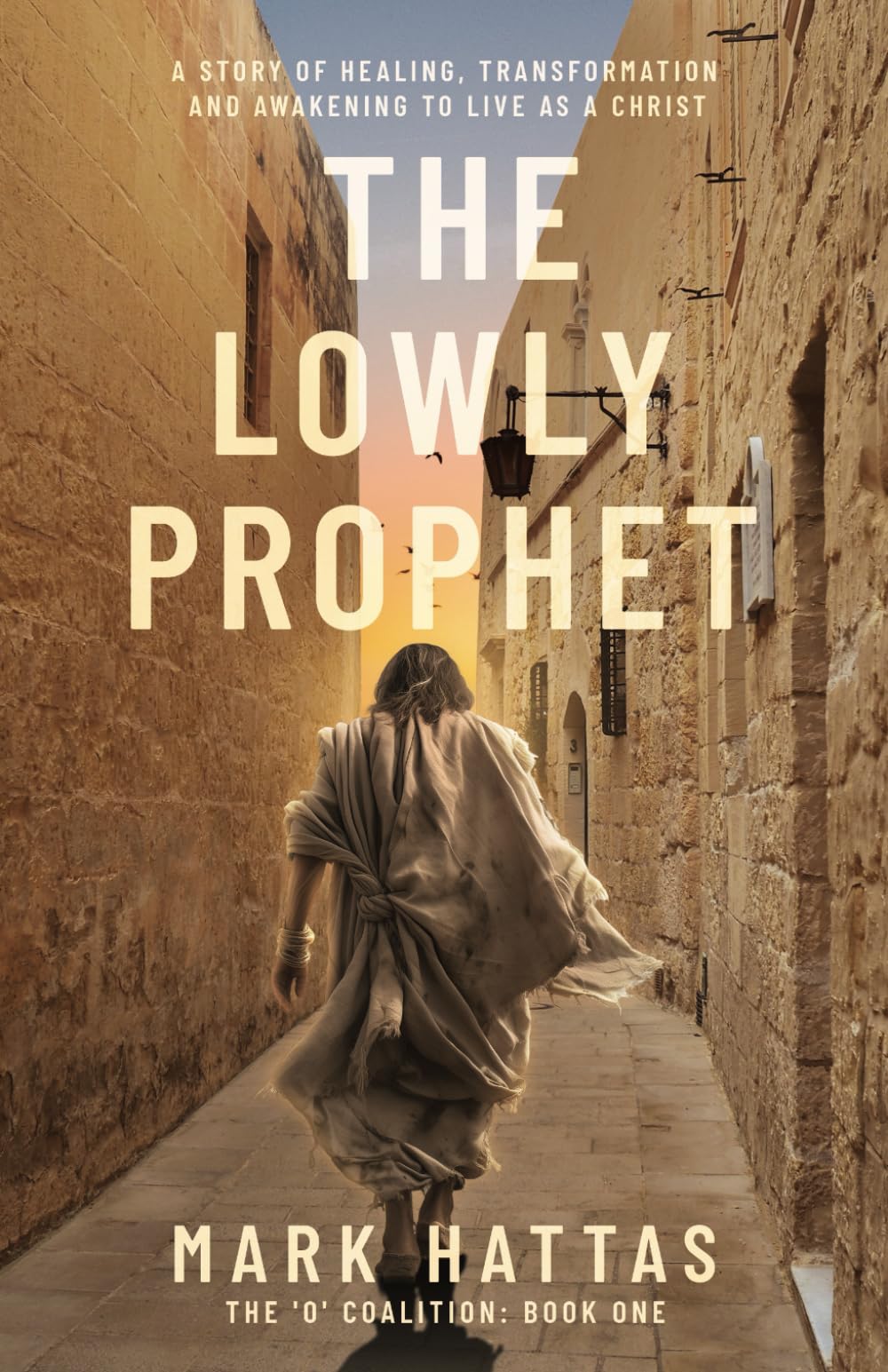 The Lowly Prophet: A Story of Healing, Awakening, and Living as a Christ The Lowly Prophet: A Story of Healing, Awakening, and Living as a Christ Paperback