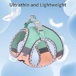 AIITLE Dog Harness and Leash Set