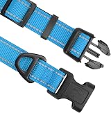 Joytale Reflective Dog Collar Neoprene Padded Nylon Small Skyblue S view 3