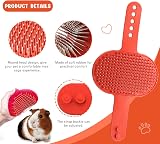 Crafterlife 6pcs Rabbit Grooming Kit Red with Brushes Nail Clipper view 5