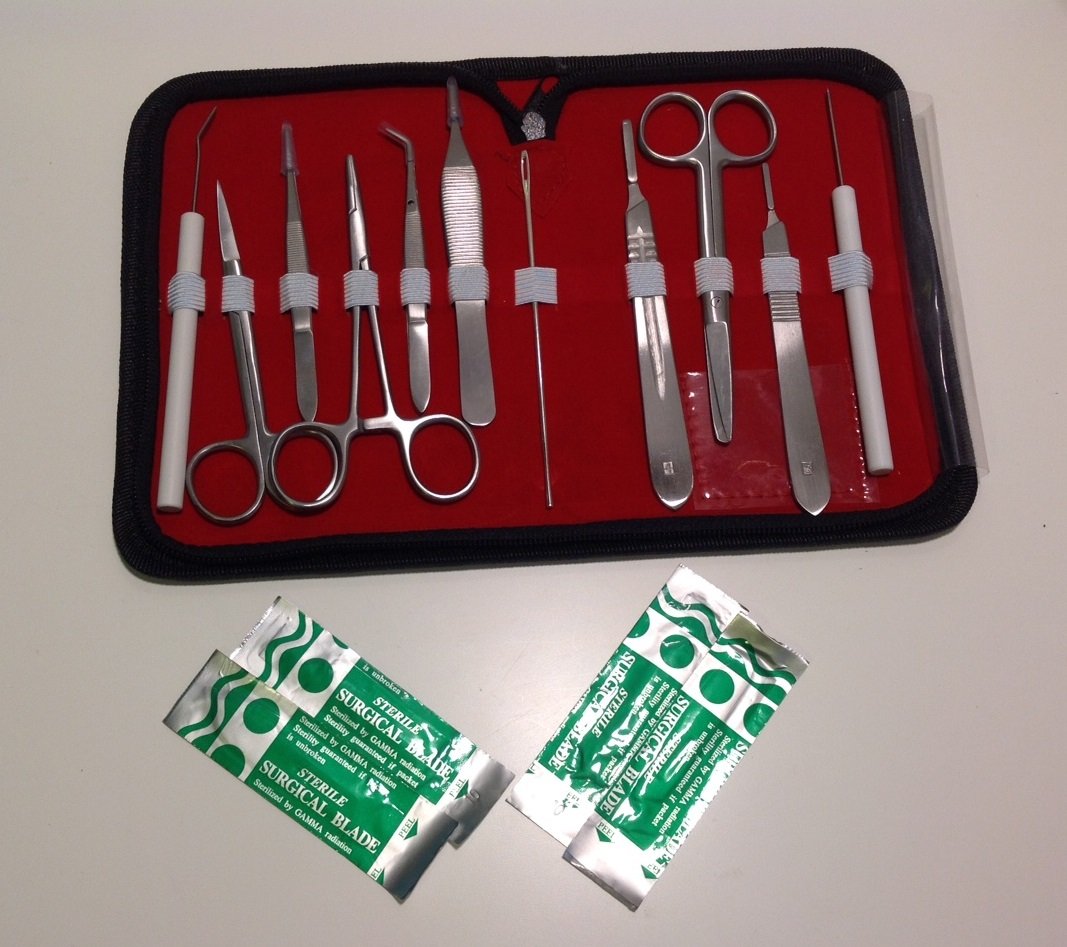 Dissecting Set Advanced Biology Instruments (BSS) Amazon.in
