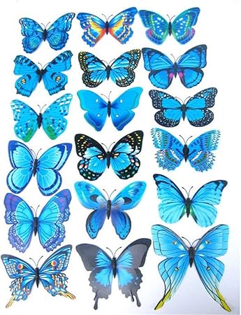 Amazon Com Goodtrade8 12pcs Beautiful 3d Butterfly Wall Decals