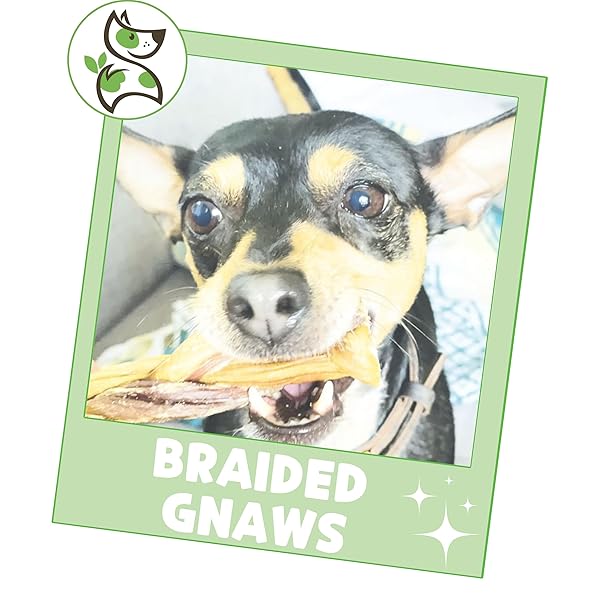 NATURE GNAWS BRAIDED GNAWS FOR DOGS 5-6″ (12 COUNT) – LONG LASTING FOR SMALL AND MEDIUM DOGS – NATURAL BEEF BULLY STICK COMBO BRAIDS – RAWHIDE FREE