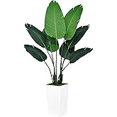 ASTIDY Bird of Paradise Artificial Plant 5FT - Faux Tropical Palm Tree with White Tall Planter - Fake Floor Plant Potted - Artificial Silk Tree for Home Office Living Room Decor Indoor