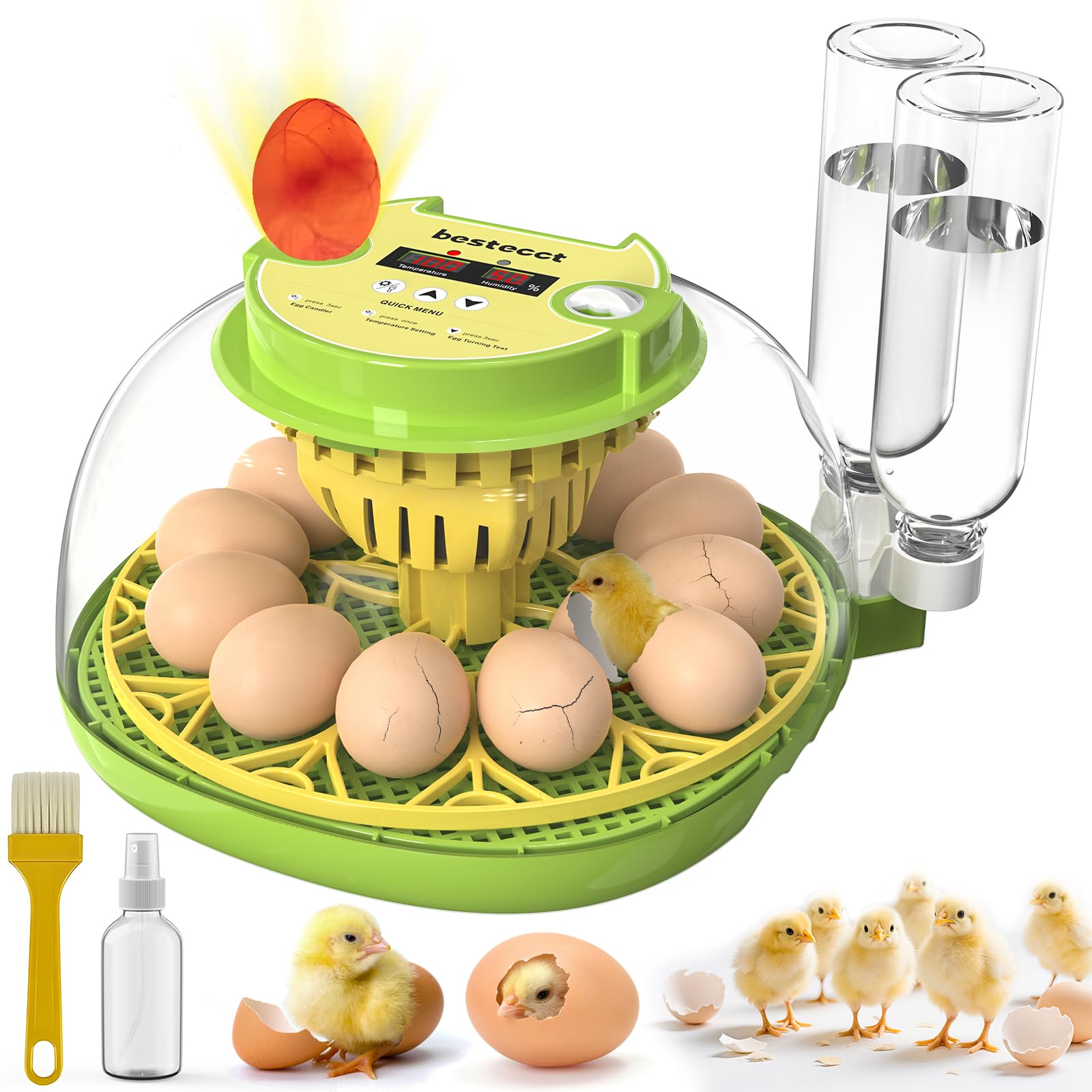 View 1 of 2025 Upgraded Incubators for Hatching Eggs,12 Egg Incubator with Automatic Turning and Humidity Control,Egg Candler,Air Vent,360° Viewing for Chicken,Quail Eggs,Ideal for Farm,Classroom,Home