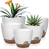 QRRICA Plant Pots 10/9/8/7.5/7 Inch Self Watering Pots, Set of 5 Plastic Planters with Drainage Holes and Saucers,Plastic Flower Pots,Nursery Planting Pot for Indoor Out Door Plants（White）
