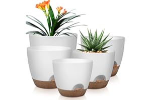 QRRICA Plant Pots 10/9/8/7.5/7 Inch Self Watering Pots, Set of 5 Plastic Planters with Drainage Holes and Saucers,Plastic Flower Pots,Nursery Planting Pot for Indoor Out Door Plants（White）