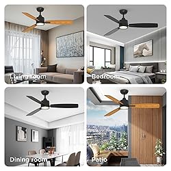 TALOYA 52 Inch Ceiling Fans with Lights Led Remote
