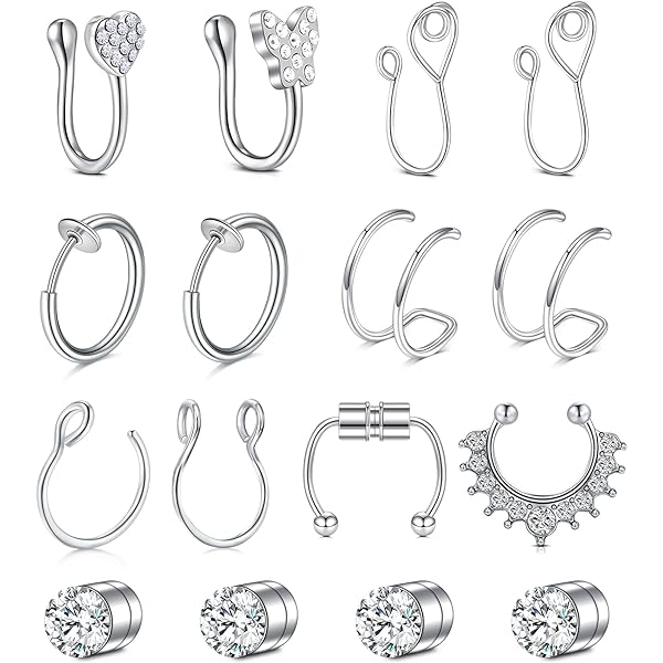 BSTiltion Fake Nose Ring Set, 30 PCS Non-Piercing, Stainless Steel, 5 Colors & 6 Sizes, Gift Kit