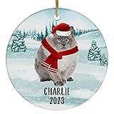 Santa Hat and Scarf Welcome Winter Seal Point