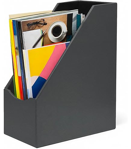 Amazon.com : Leitz Premium Archiving Magazine File, Spine Width 80