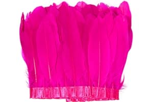 MAOFENG 2 Yards Natural Fluffiness Goose Feathers Trim Sewing Fringe 6-8inch for DIY Handicrafts Costumes Decoration,Rose Red