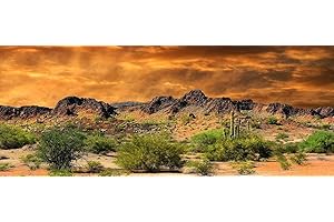 BANNERSNSTANDS Reptile Habitat, Terrarium Background, Orange Desert Sky with Cactus - (Various Sizes) (12" H x 50" W)