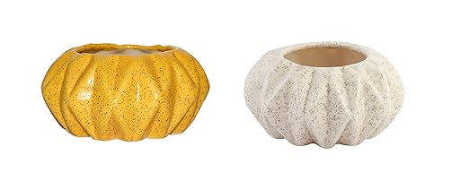 Ceramic Planter Ceramic Pots Indoor Planter Table Top Planter Plant Container Fancy Decorative Planter Designer Planter (2 Pcs.) (Drainage Hole at The Bottom)