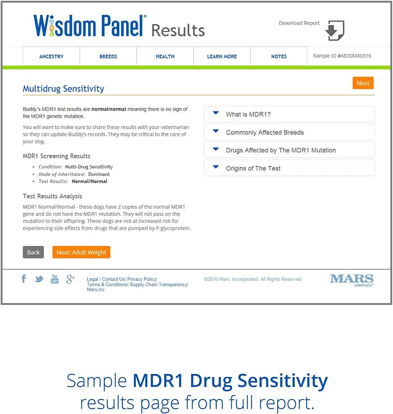 wisdom panel phone number