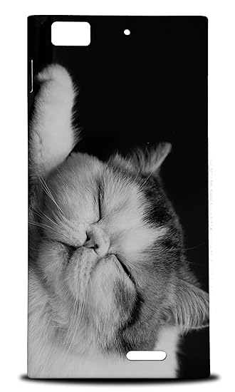 Amazon Com Exotic Shorthair Cat 1 Hard Phone Case Cover For