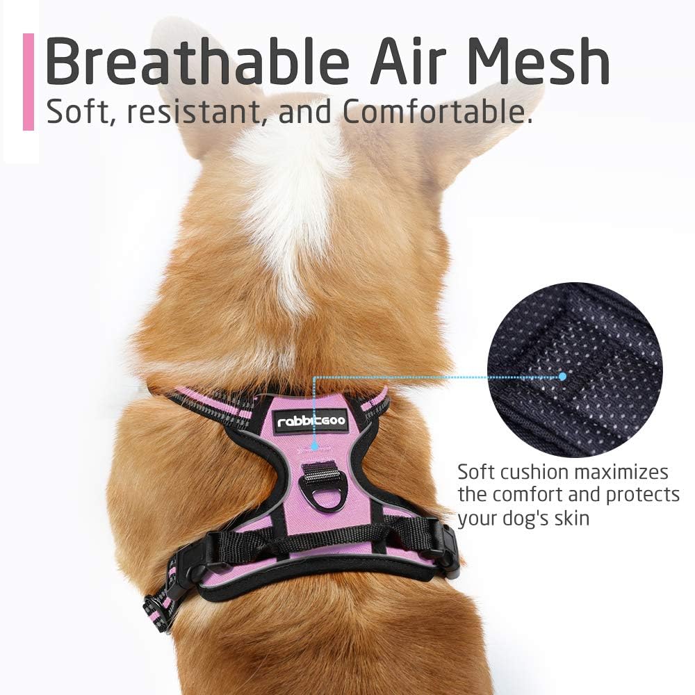 rabbitgoo Dog Harness Small Dog No Pull Pet Harness with 2 Leash Clips, Adjustable Soft Padded Pet Vest - Image 4