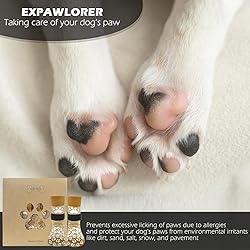 EXPAWLORER Anti Slip Dog Socks to Prevent Licking