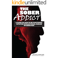 The Sober Addict: A Guide on How to Be Functional With the Dysfunctional Disease of Addiction book cover