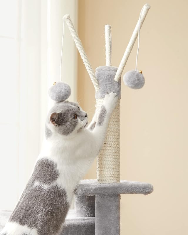 Arbre à Chat, Tour de Jeux, Chaton